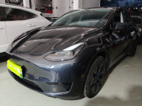 特斯拉 Model Y 2024款 后轮驱动版