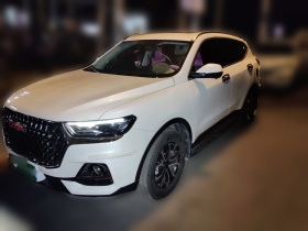 哈弗H6 2023款 国潮版 1.5T 自动都市版