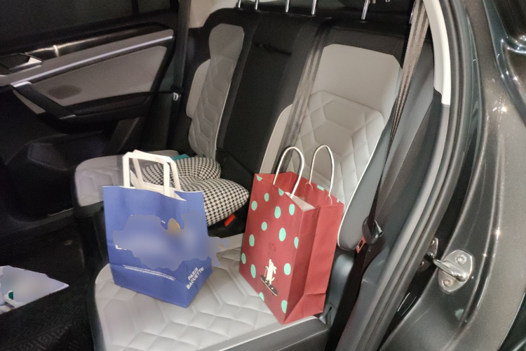 大众 探岳 2023款 300TSI 两驱豪华Plus进阶版中控内饰21