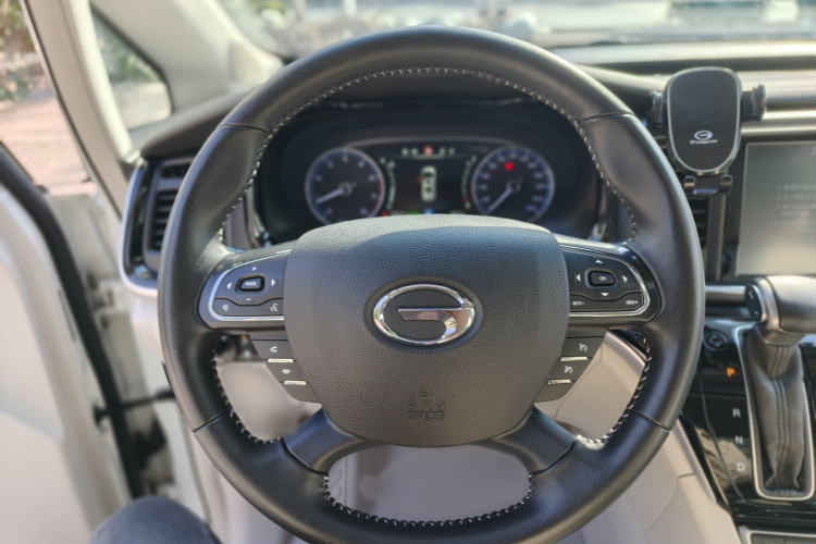 广汽传祺 传祺M8 2020款 领航款 390T 尊贵版中控内饰7009