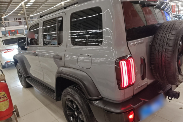 坦克300 2024款 2.0T 挑战者车身外观6003