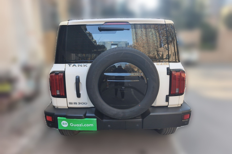 坦克300 2021款 越野版 2.0T 征服者车身外观6