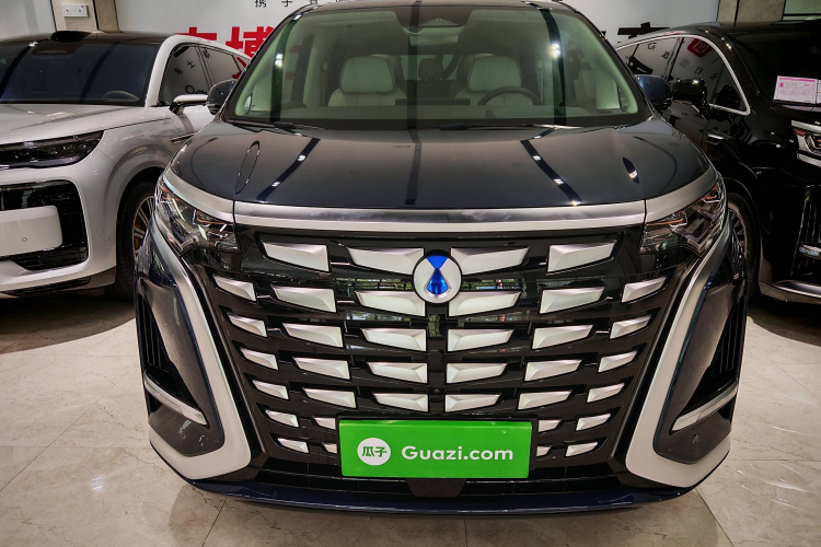 腾势D9 2024款 DM-i 980 四驱尊荣型车身外观6005