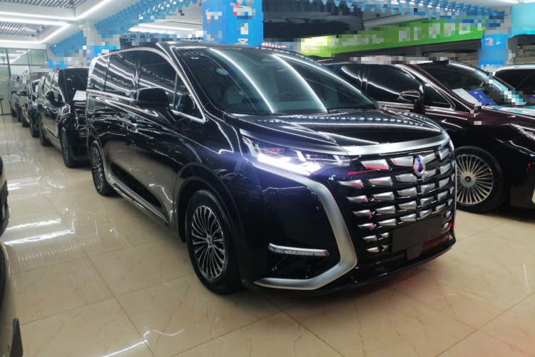 腾势D9 2024款 DM-i 1050 尊享型车身外观3