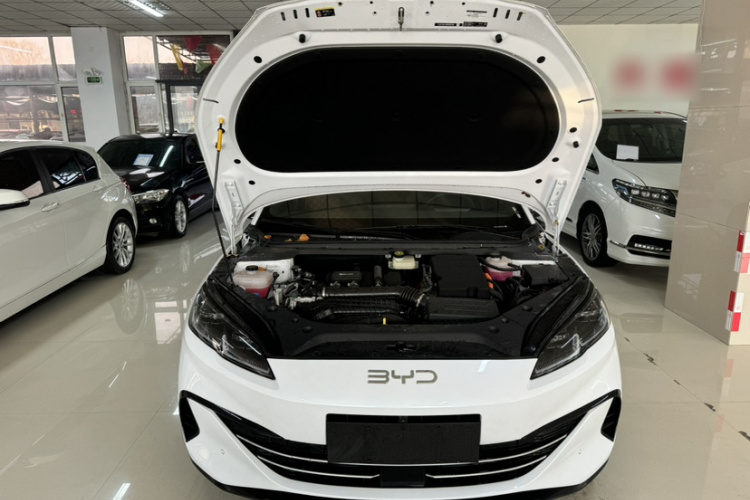 比亚迪 海豹06新能源 2024款 DM-i 120KM尊享型车身外观6011