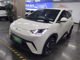 比亚迪 海鸥 2025款 405km 飞翔版