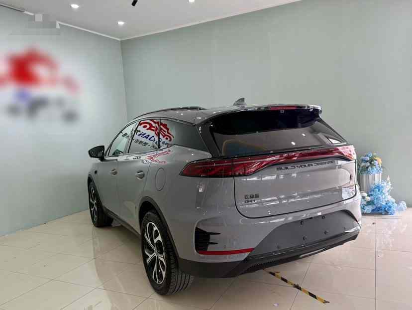 比亚迪 唐新能源 2025款 DM-i 115KM 旗舰型(5)