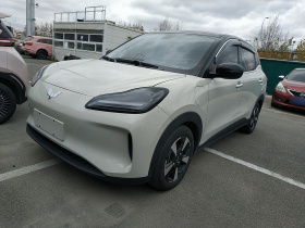 五菱汽车 五菱缤果PLUS 2024款 330km 五座版