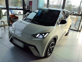 比亚迪 海鸥 2023款 自由版