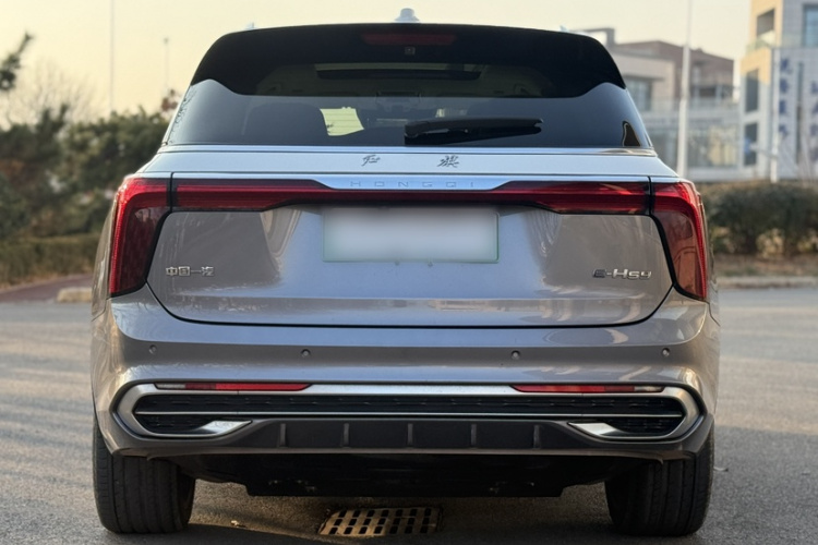 红旗E-HS9 2021款 510km 旗领版 四座车身外观6002