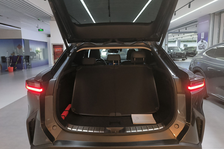 雷克萨斯RZ 2023款 450e 四驱纵享版机舱底盘23