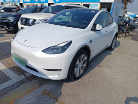 特斯拉 Model Y 2021款 改款二 长续航全轮驱动版