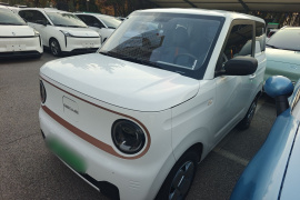 吉利银河 2024款 熊猫mini 200km 耐力熊