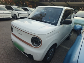 吉利银河 2024款 熊猫mini 200km 耐力熊