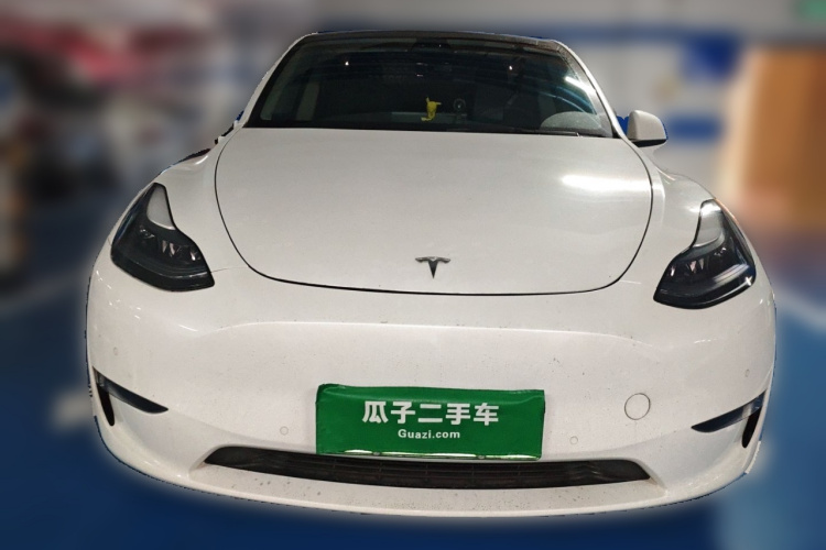 特斯拉 Model Y 2021款 Performance高性能全轮驱动版车身外观6001