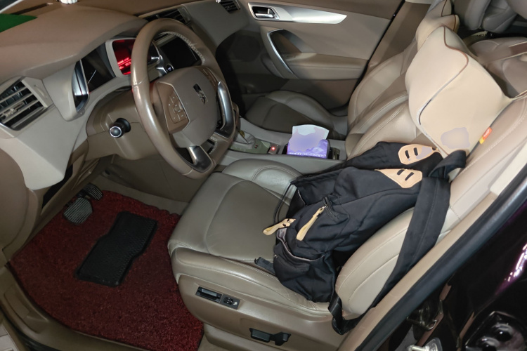 DS 5LS 2014款 1.6T 豪华版THP160中控内饰19