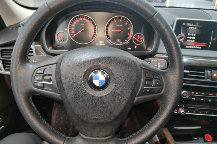 宝马X5(进口) 2014款 xDrive35i 典雅型局部细节13