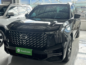 广汽传祺 传祺GS8 2022款 领航系列 2.0TGDI 两驱尊贵版（七座）