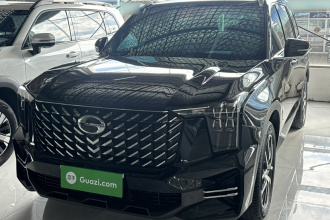 广汽传祺 传祺GS8 2022款 领航系列 2.0TGDI 两驱尊贵版（七座）