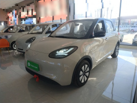 五菱汽车 五菱缤果 2024款 333km 悦享款