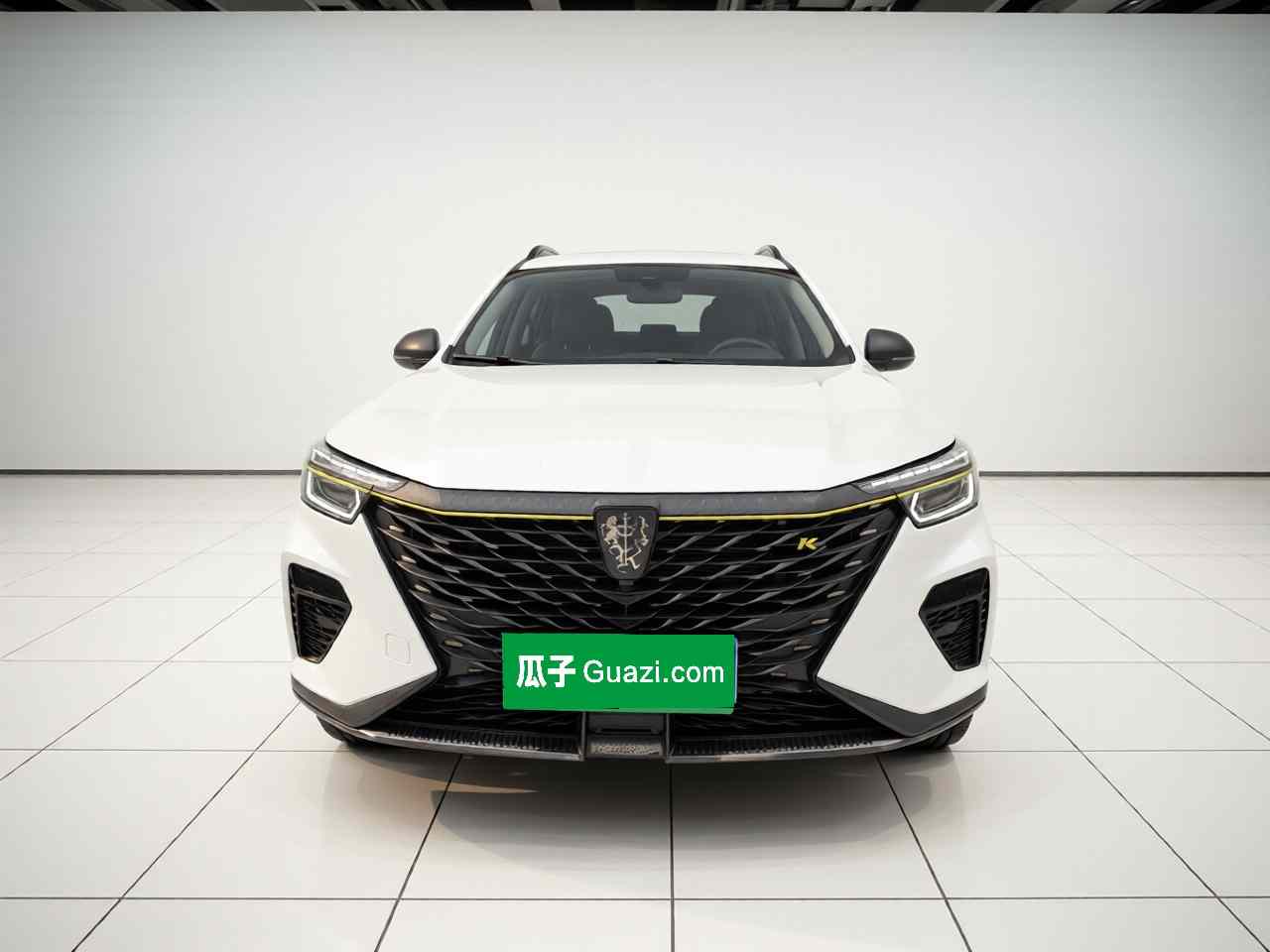荣威RX5 2023款 PLUS 330TGI 自动领潮智享版(1)