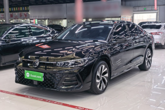 大众 帕萨特 2025款 Pro 380TSI 星空龙耀版