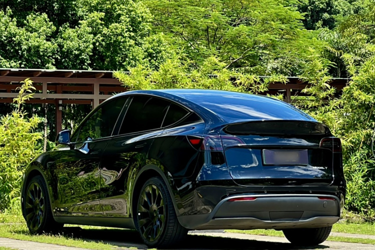 特斯拉 Model Y 2021款 标准续航后驱版车身外观6004