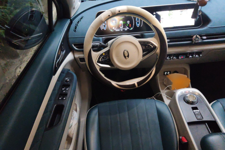 欧拉好猫 2021款 400km标准续航 维纳斯版 磷酸铁锂局部细节13