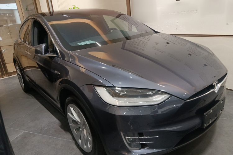 特斯拉 Model X 2019款 长续航版车身外观6002