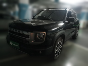 哈弗大狗 2024款 1.5T DCT边牧版