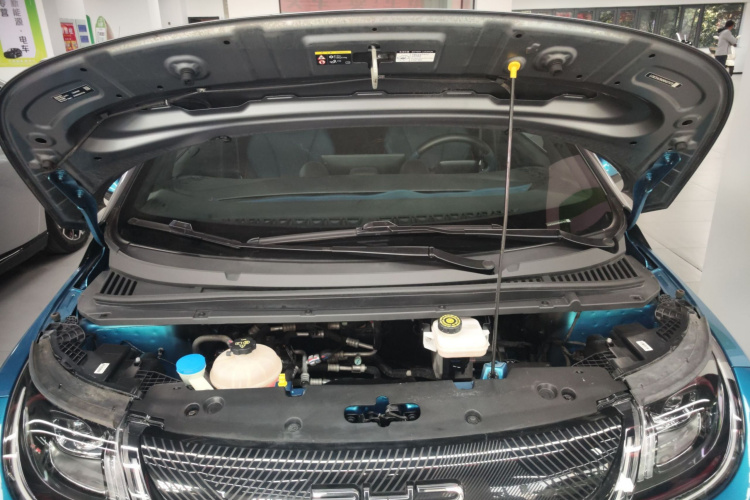 比亚迪 海豚 2021款 401km 骑士版机舱底盘24