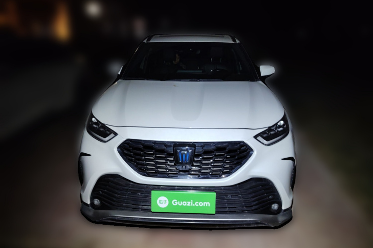 丰田 皇冠陆放 2021款 2.5L HEV四驱尊贵版车身外观2