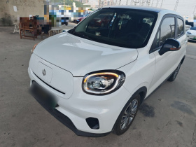 零跑汽车 零跑T03 2021款 400轻享版 三元锂