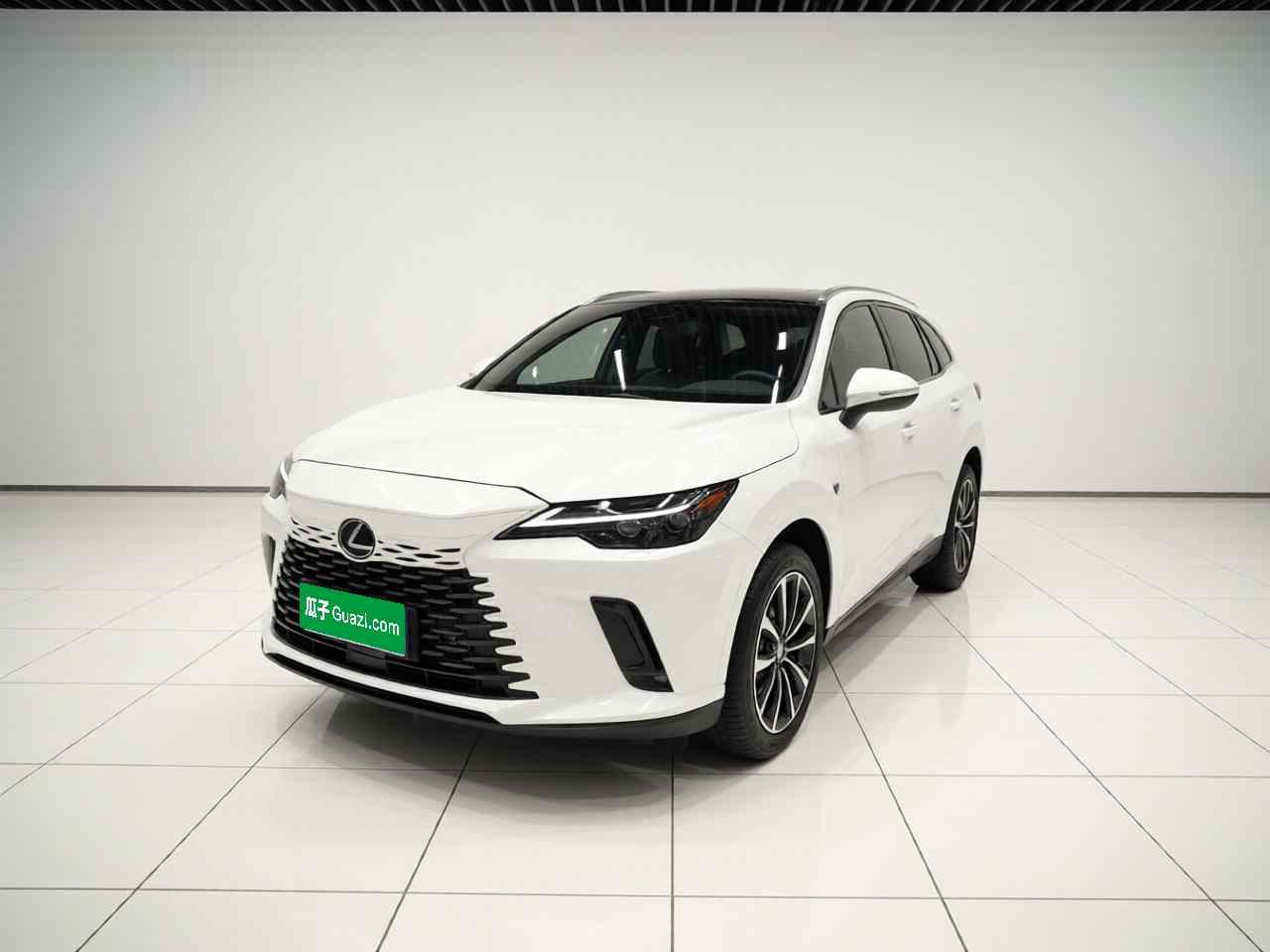 雷克萨斯RX 2023款 350h 两驱舒享版(2)