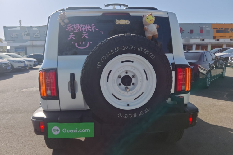 坦克300 2021款 城市版 2.0T 很有型车身外观6004