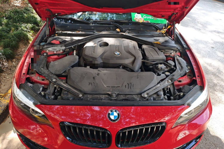 宝马2系(进口) 2019款 225i 敞篷轿跑车 运动设计套装局部细节24