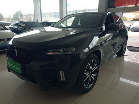 魏牌 VV7 2019款 升级款 2.0T 旗舰型 国VI