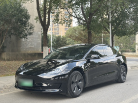 特斯拉 Model 3 2021款 标准续航后驱升级版