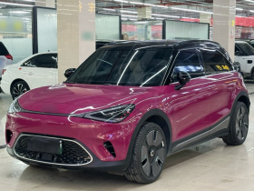 smart精灵#1 2022款 Premium版