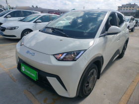 比亚迪 海鸥 2025款 305km 活力版