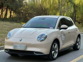 欧拉好猫 2023款 401km标准续航 豪华型 磷酸铁锂