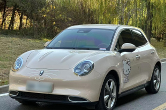 欧拉好猫 2023款 401km标准续航 豪华型 磷酸铁锂