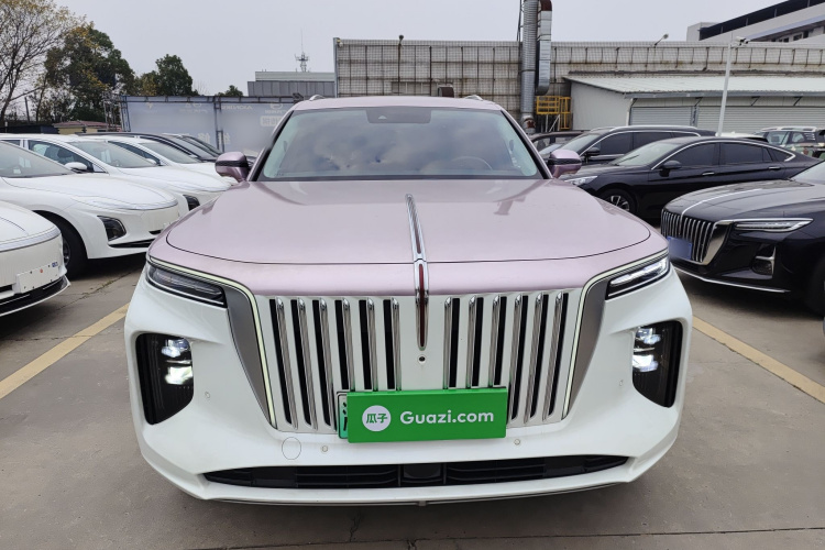 红旗E-HS9 2021款 460km 旗享版 六座车身外观6001