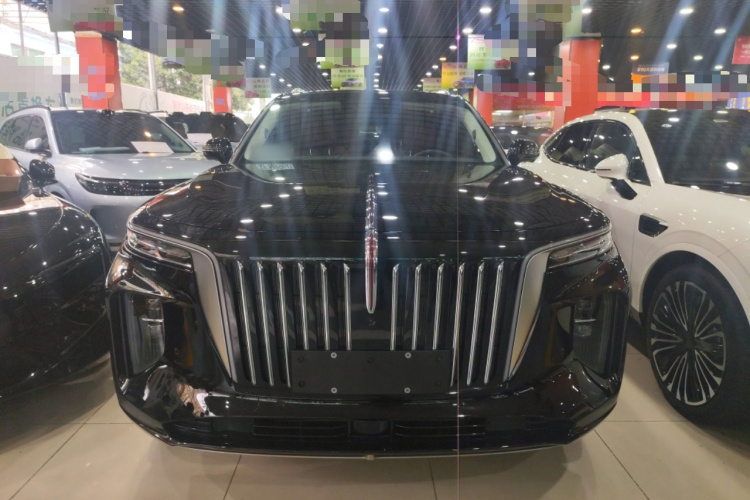 红旗E-HS9 2021款 460km 旗享版 六座车身外观2