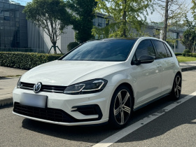 大众 高尔夫(进口) 2017款 2.0TSI R