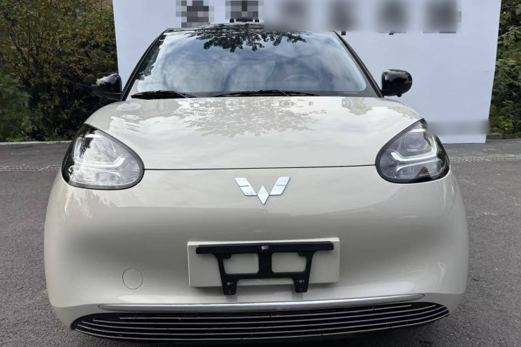 五菱汽车 五菱缤果 2024款 203km 轻享款车身外观6010