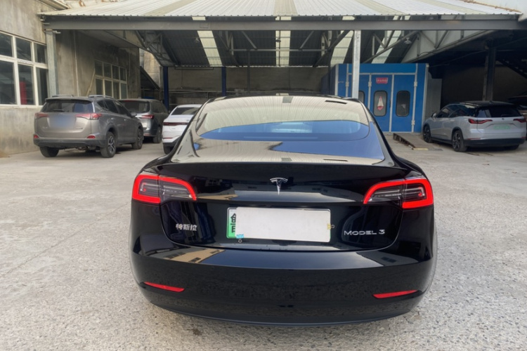 特斯拉 Model 3 2020款 标准续航后驱升级版车身外观6004