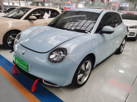 欧拉好猫 2021款 400km标准续航 维纳斯版 三元锂