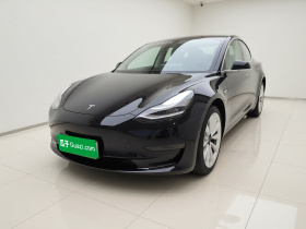 特斯拉 Model 3 2020款 改款 标准续航后驱升级版