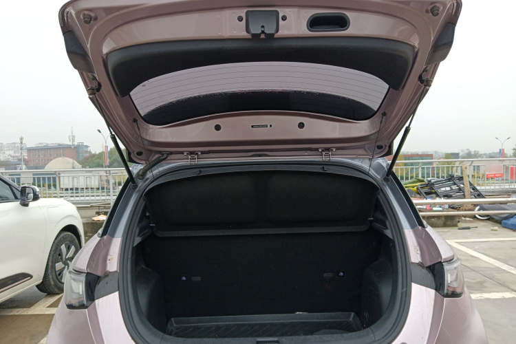 比亚迪 海豚 2021款 401km 骑士版局部细节23